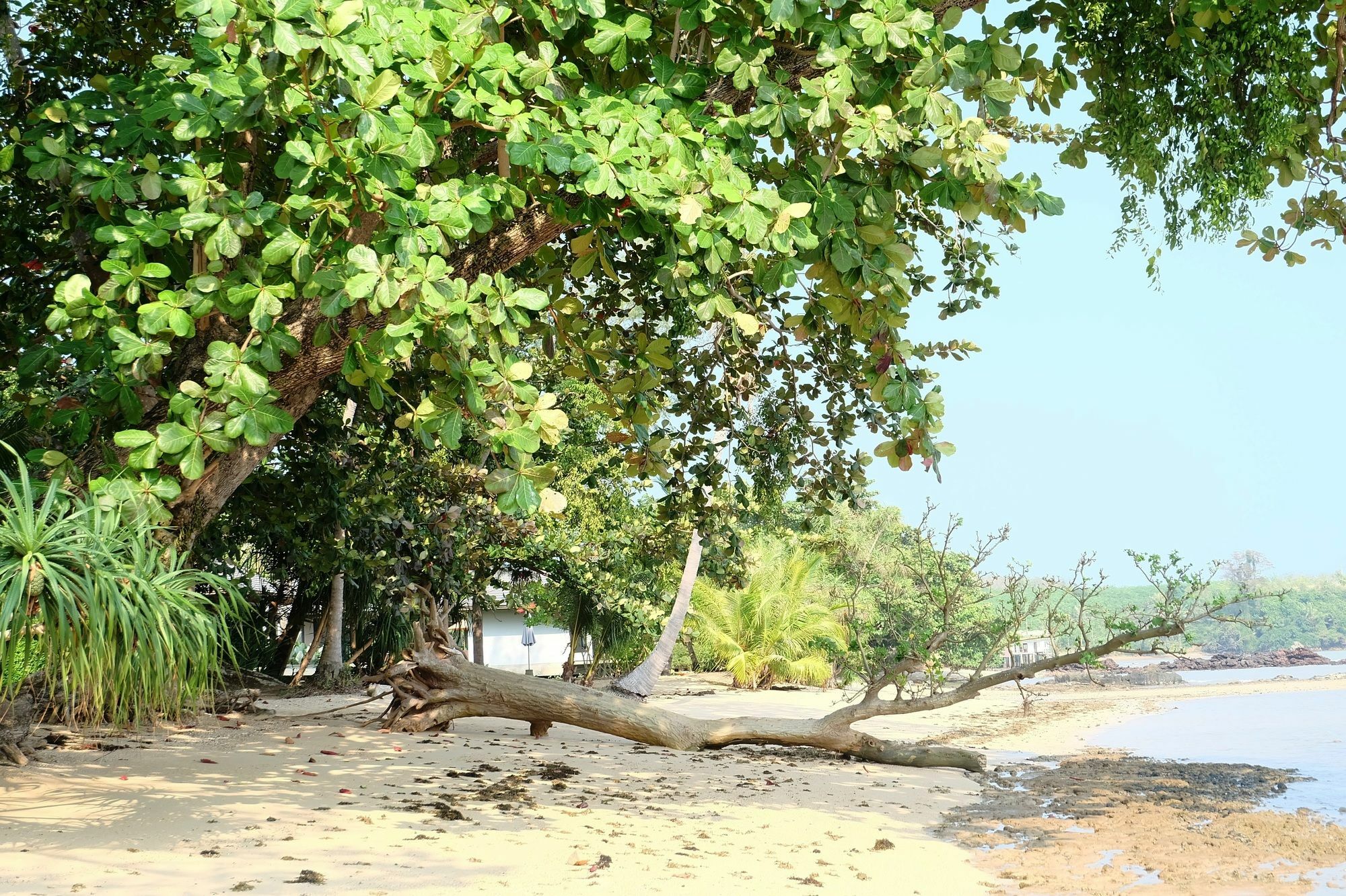 Hotel Plub Pla Koh Mak Retreat Zewnętrze zdjęcie